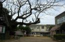 岩岡小学校(いわおかしょうがっこう)