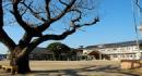 中平小学校(ちゅうへいしょうがっこう)